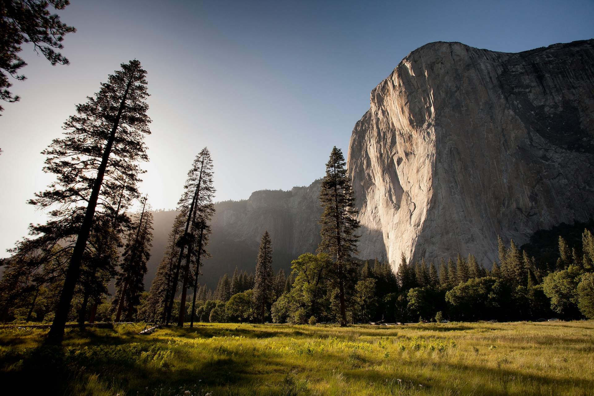 forest and mountain